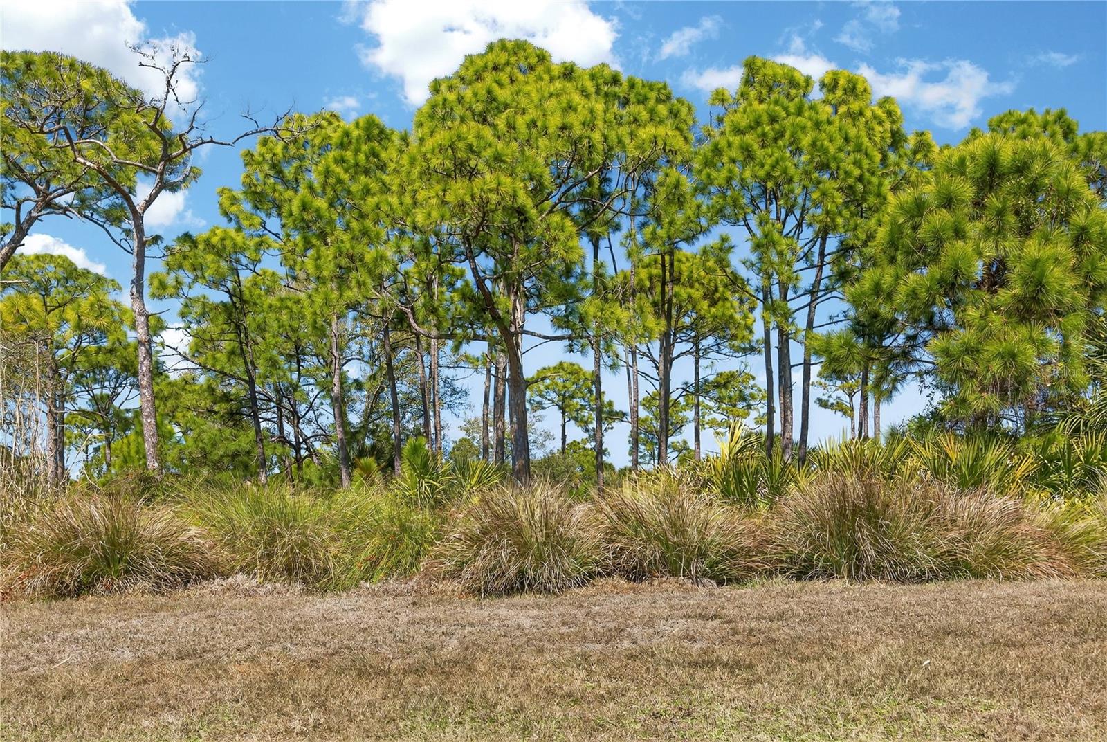 PALMERO / SORRENTO PHASE 2 - Residential
