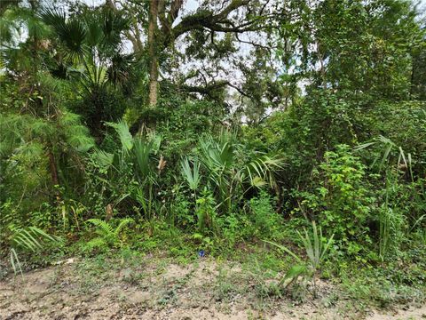 13046 E SHAWNEE TRAIL INVERNESS FL 34450