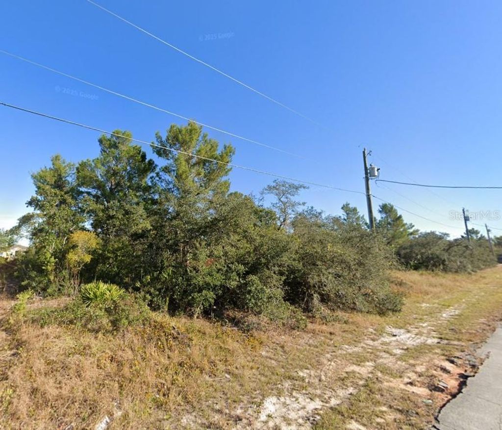 Photo of 611 Alafia Place, Kissimmee, FL 34759 (MLS # O6410318)