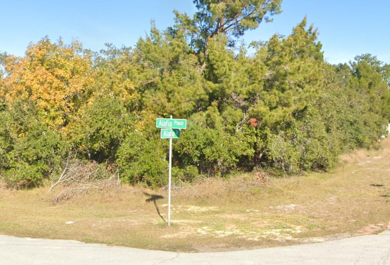 611 ALAFIA PLACE