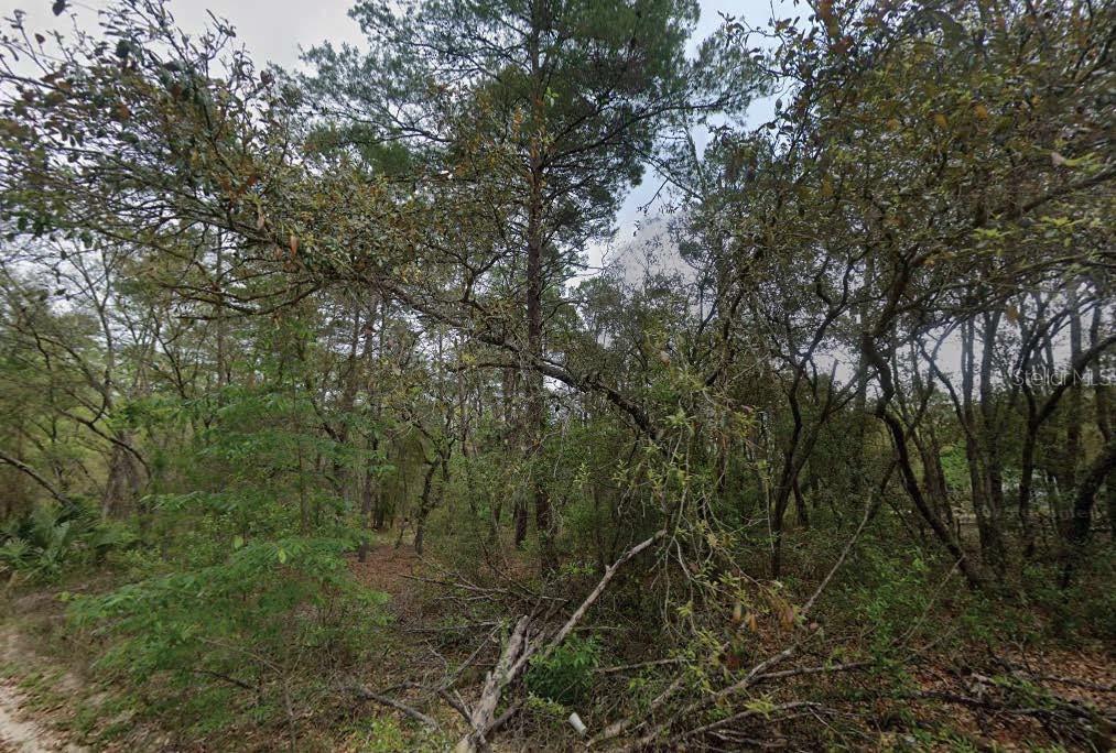 Located in the tranquil, lake-rich area of Satsuma, this vacant residential parcel offers a prime opportunity to build in a community known for its small-town charm and natural beauty. The seller is also offering additional lots in Washington and Putnam Counties and is open to discounted pricing for buyers interested in purchasing multiple properties. All information is deemed reliable but should be independently verified.
