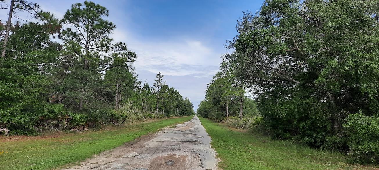 OLEANDER DRIVE