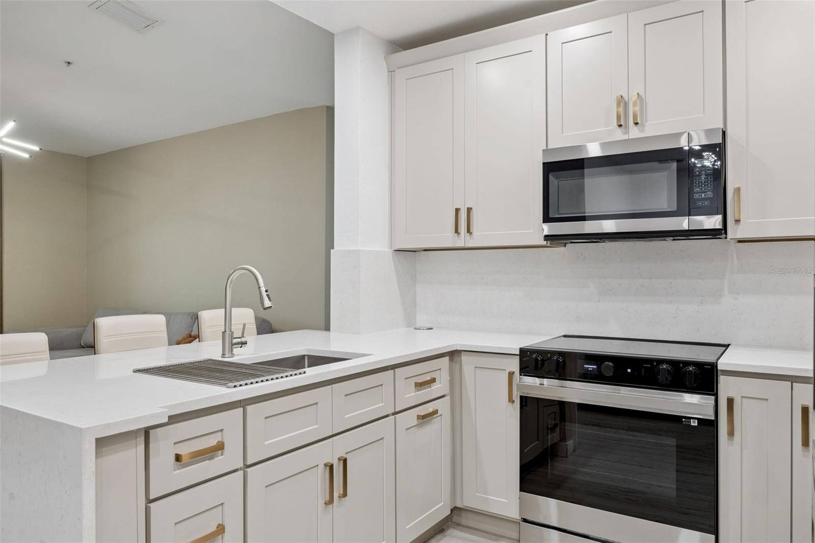 REGISTRY/MICHIGAN PARK CONDO - Residential