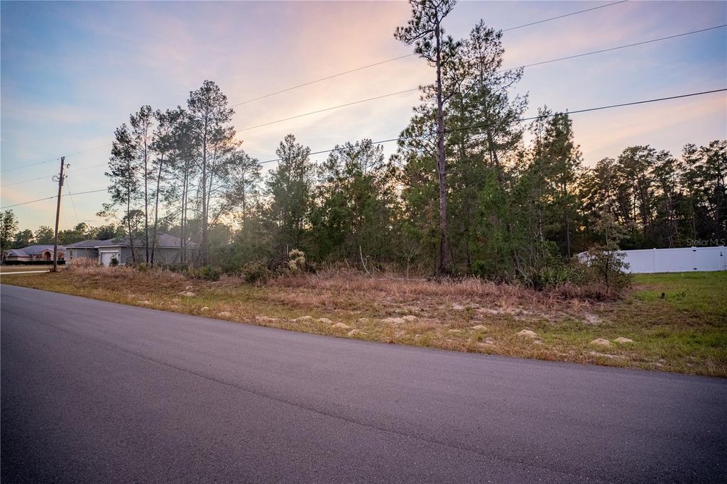 Photo of SW 39th Court, Ocala, FL 34473 (MLS # OM713227)