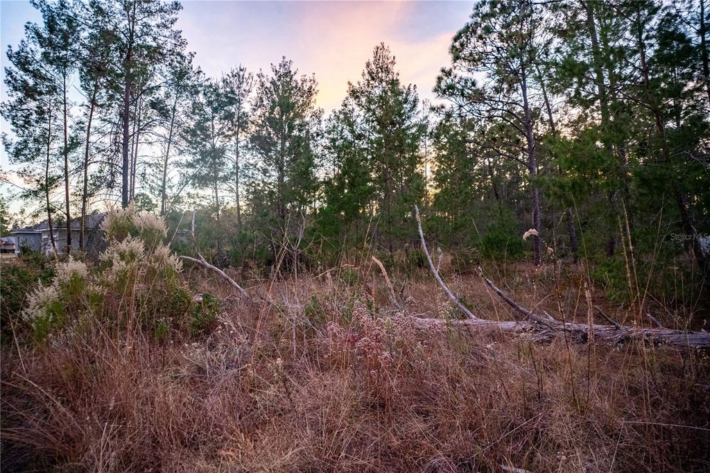 Photo of SW 39th Court, Ocala, FL 34473 (MLS # OM713227)