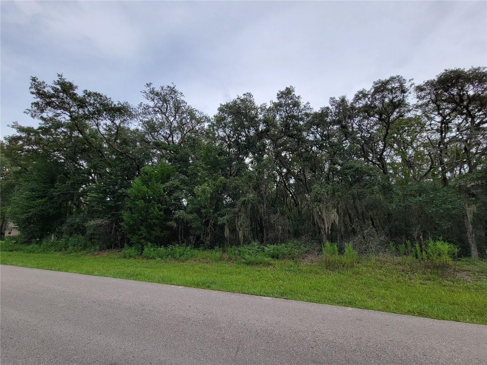 CITRUS HILLS 1ST ADD/MEADOWVIEW - Land