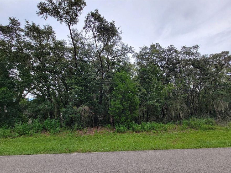 Beautilful, wooded, and level building lot located in the Meadowview neighborhood of the Villages of Citrus Hills, the highly desirable Golf Course & Active Community (NOT age-restricted). Located along the Central Ridge, 142' above sea level, this property is conveniently located close to medical facilities, shopping, multiple golf courses, amenity-rich Citrus Hills Golf & Country Club, & all that Florida's Nature Coast has to offer. Situated between Crystal River and Inverness, just an hour north of the Tampa airport, & 75 minutes away from Orlando attractions. A Great place to build your Forever Florida home and start living the Florida lifestyle you've dreamed of.