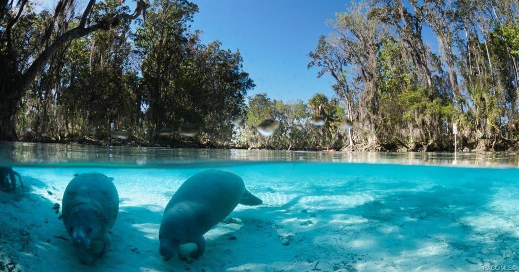 CITRUS HILLS 1ST ADD/MEADOWVIEW - Land