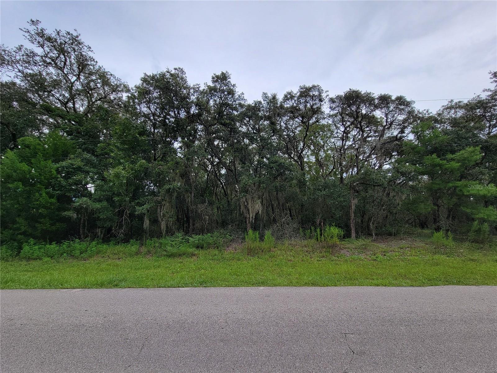 CITRUS HILLS 1ST ADD/MEADOWVIEW - Land