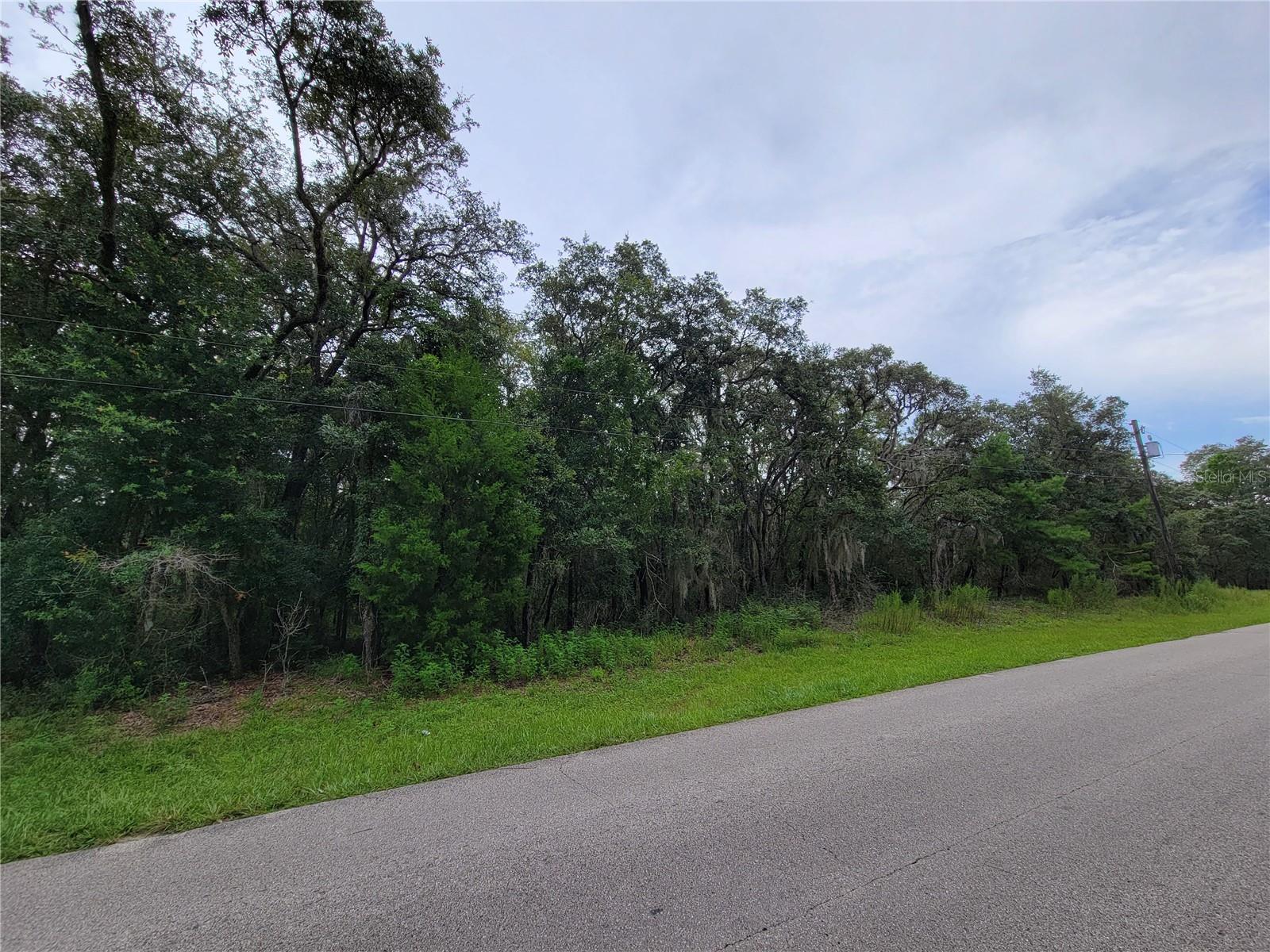 CITRUS HILLS 1ST ADD/MEADOWVIEW - Land