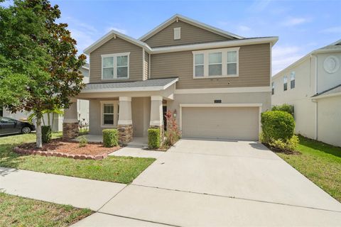 3138 DARK SKY DRIVE ST CLOUD FL 34773