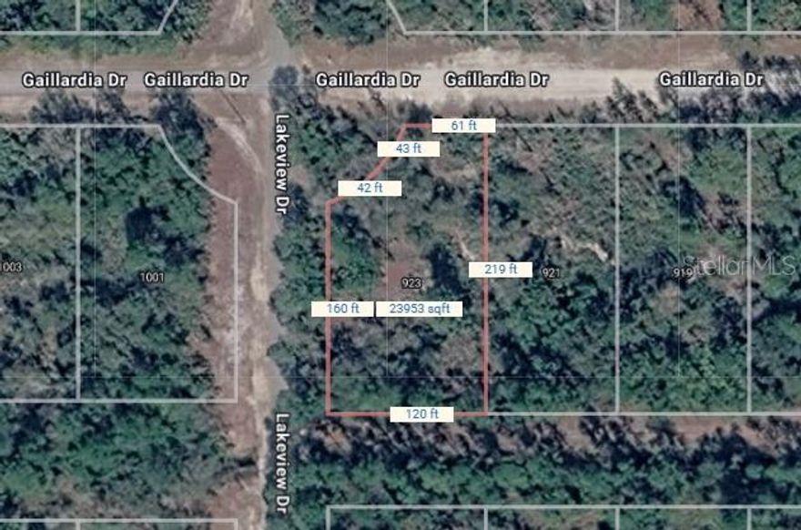 INVEST and WAIT or Build your dream home on this spacious .55 acre lot in the desirable Indian Lake Estates community in Polk County, Florida. Enjoy private access to Lake Weohyakapka, a 7,528-acre freshwater lake known for excellent bass fishing, along with the largest freshwater dock in the state, boat ramp, and Jet Ski access. Community amenities include an 18-hole signature golf course, clubhouse, pavilion, tennis, basketball, shuffleboard courts, and year-round events. Peaceful, nature-filled setting with easy access to US Hwy 27, Florida Turnpike, I-4, and close proximity to Legoland, Wild Outdoor activities, Disney and Vero Beach. A perfect opportunity for lifestyle or investment.