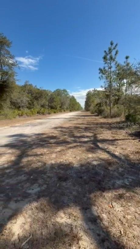 INDIAN LAKE ESTATES - Land