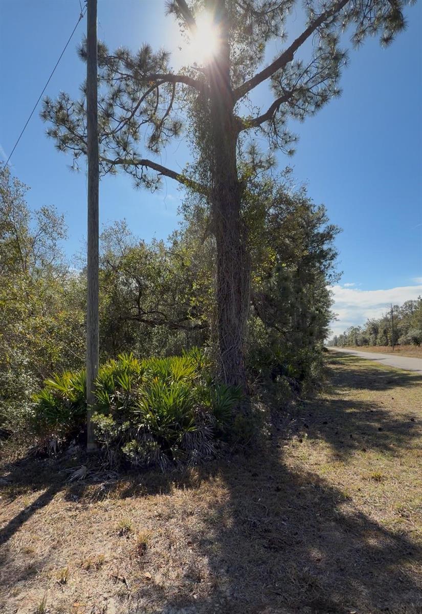 923 GAILLARDIA DRIVE