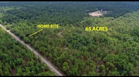 Tiny photo for SW Obee Ridge Road, Dunnellon, FL 34431 (MLS # S5156501)