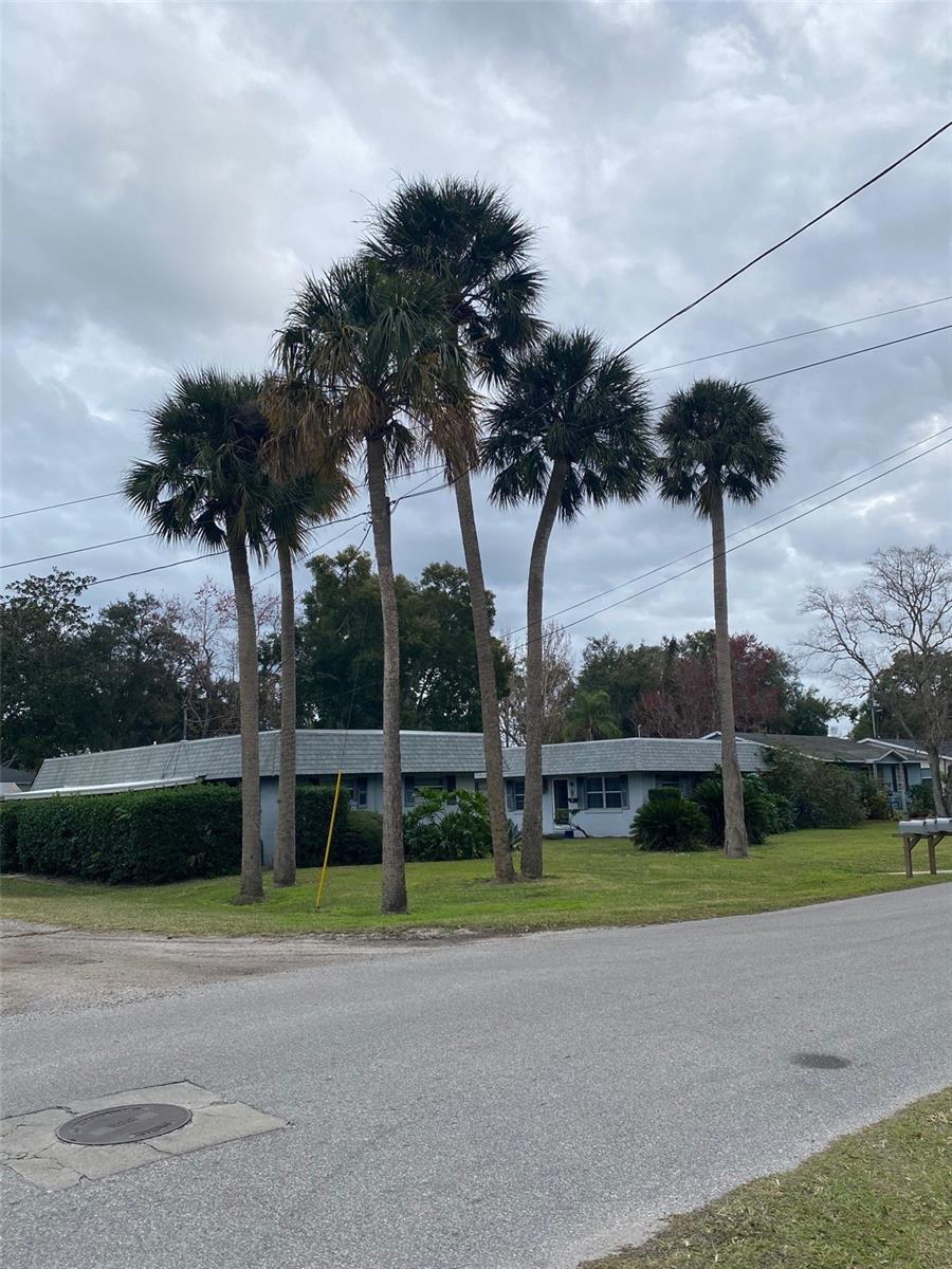 WATSONS - Residential Lease