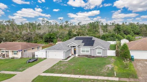 A home in DELTONA