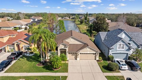 A home in APOLLO BEACH