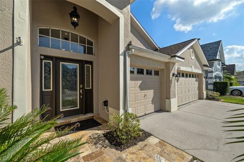 A home in APOLLO BEACH