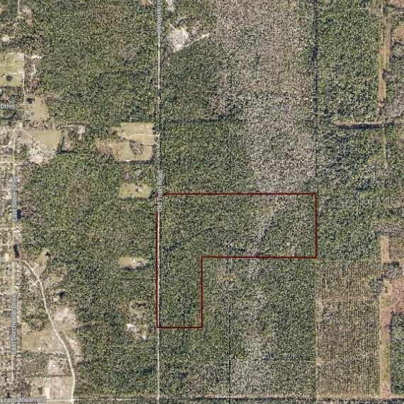 Discover the perfect blend of seclusion and natural beauty with this expansive just under 150-acre property, offering a rare opportunity for recreation, investment, or development. This wooded haven features a mix of lush hardwoods and native vegetation, creating an ideal setting for outdoor enthusiasts, nature lovers, or those seeking a private retreat. A portion of the land includes picturesque wetlands, attracting diverse wildlife and adding to the property's charm, while the majority remains high and dry—situated outside of any flood zones. The property is fully enclosed with secure chain-link and barbed wire fencing, ensuring privacy and peace of mind for its owners. With ample space for horseback riding, ATV trails, or a future homestead, the possibilities are endless. Located in a quiet yet accessible area, this land offers both tranquility and convenience, making it a prime investment opportunity. Whether you're looking for a private sanctuary, recreational paradise, or long-term landholding, this unique property is ready to fulfill your vision. Schedule your showing today!