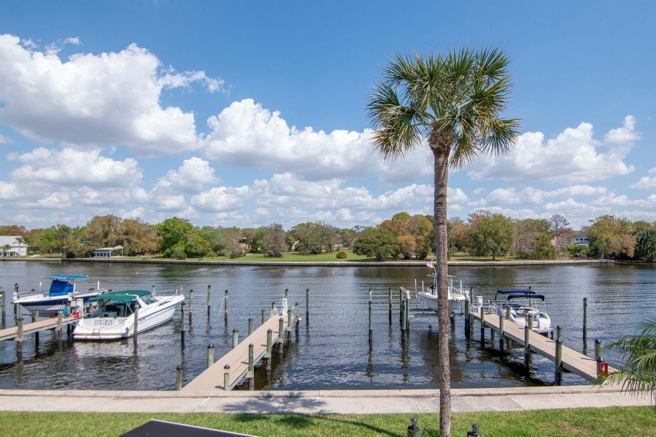 THE MARINA CLUB OF TAMPA A CON - Residential