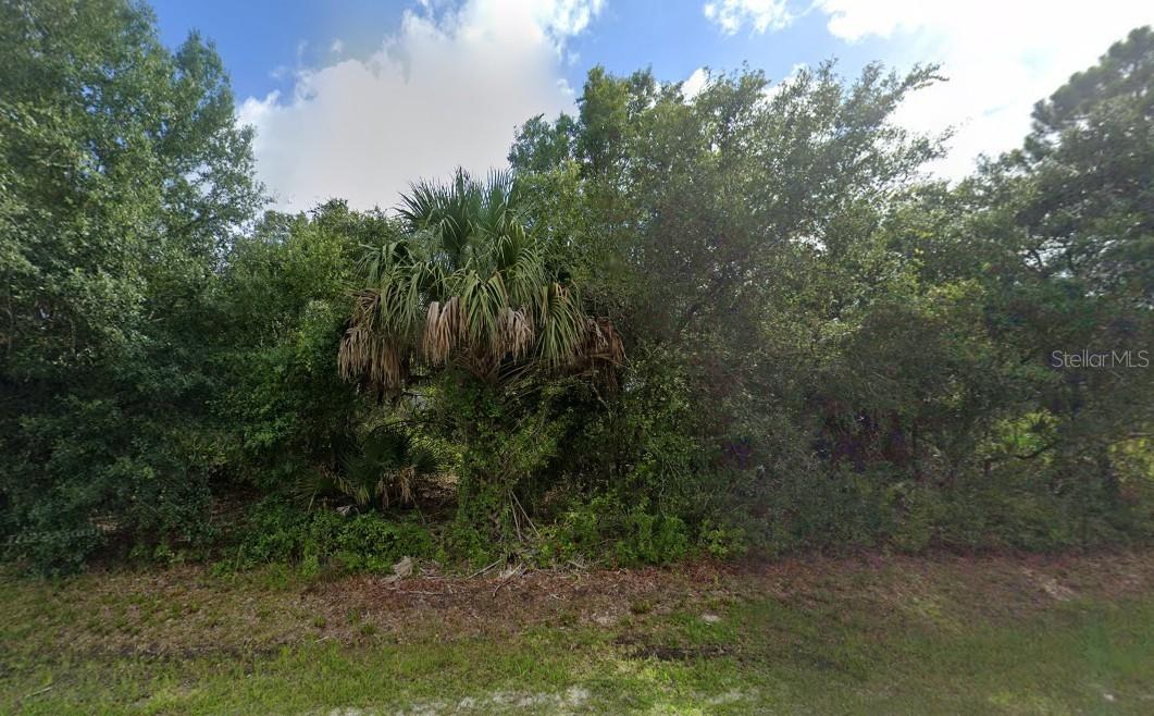 PORT CHARLOTTE SUB 25 - Land