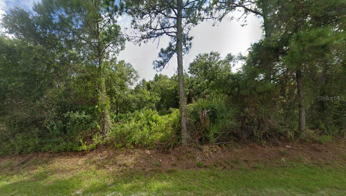 PORT CHARLOTTE SUB 25 - Land