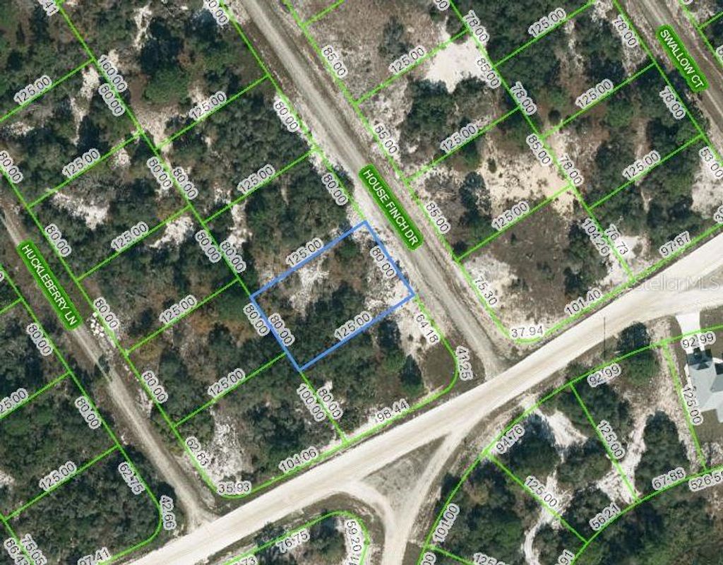 Photo of 602 House Finch Drive, Lake Placid, FL 33852 (MLS # OM623940)