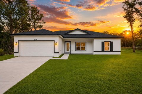 Photo of 15479 SE 115 Place Road, Ocklawaha, FL 32179 (MLS # O6396208)