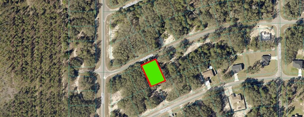Photo of Fisher Way Drive, Ocklawaha, FL 32179 (MLS # O6264060)