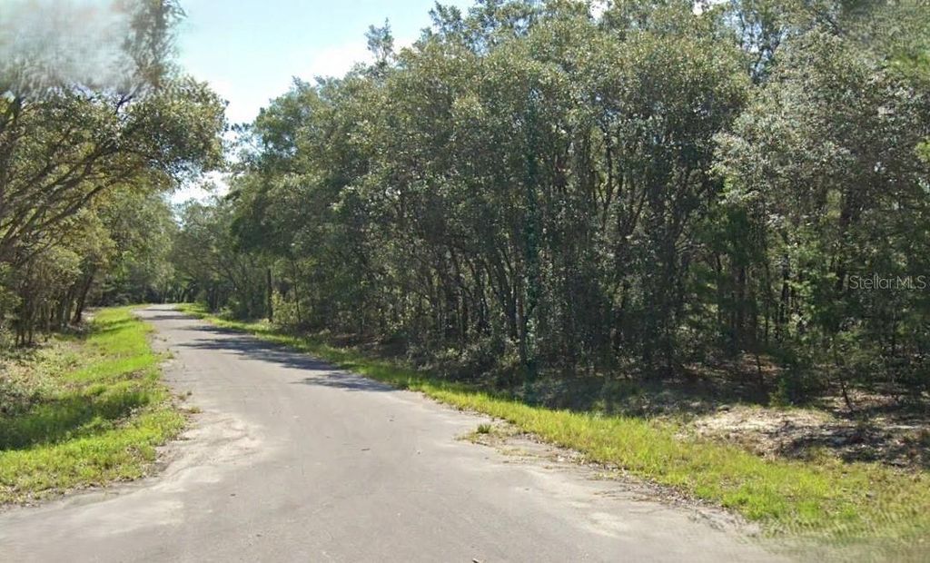 Photo of Fisher Way Drive, Ocklawaha, FL 32179 (MLS # O6264060)