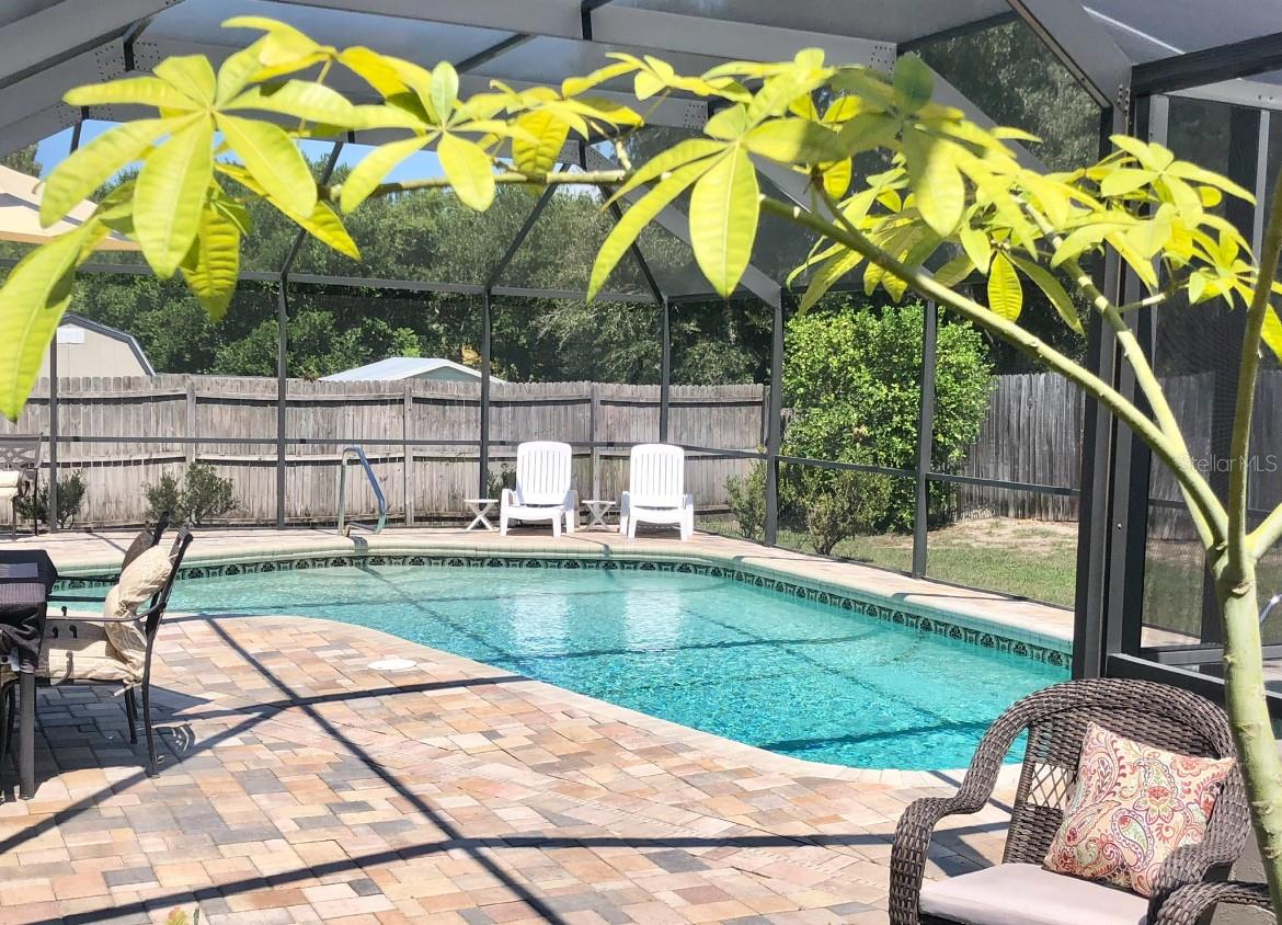 SPRING HILL - Residential Lease