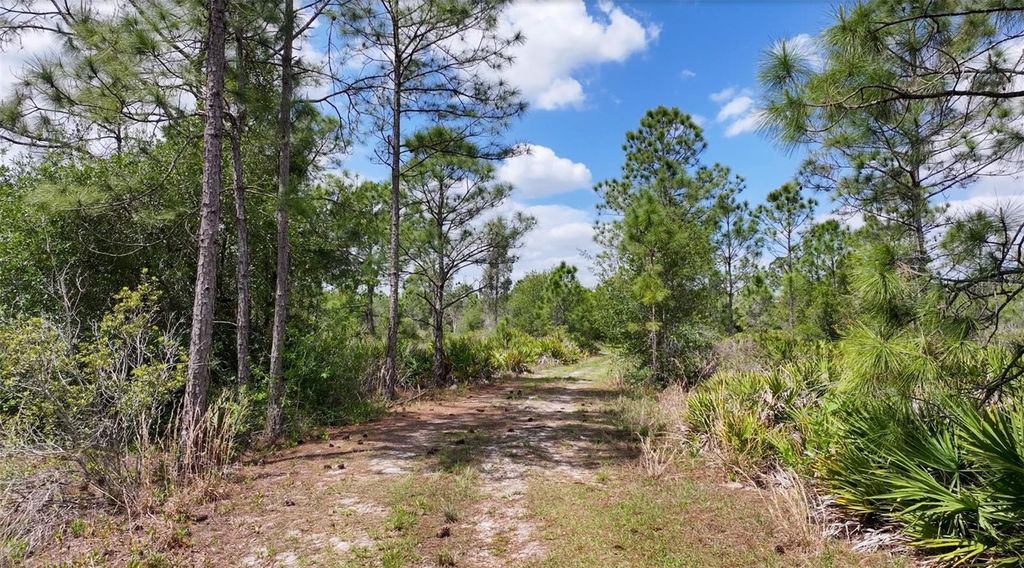 Photo of 47200 Bermont Road, Punta Gorda, FL 33982 (MLS # C7524935)