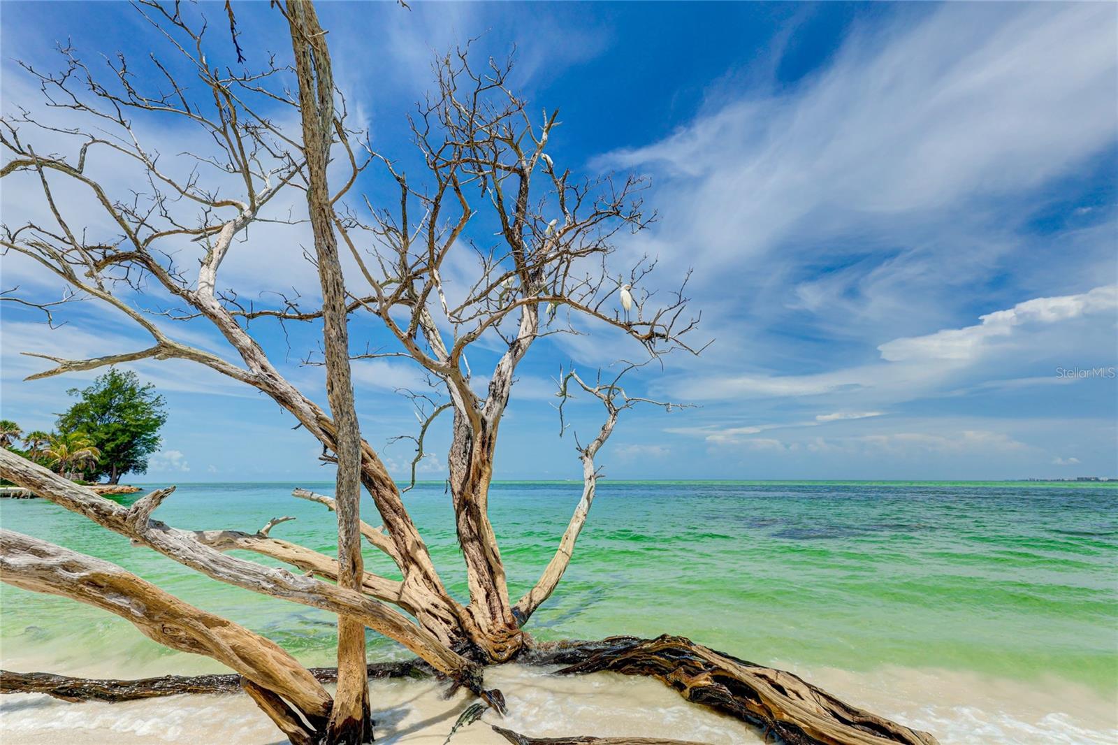 SANDY COVE - Residential Lease