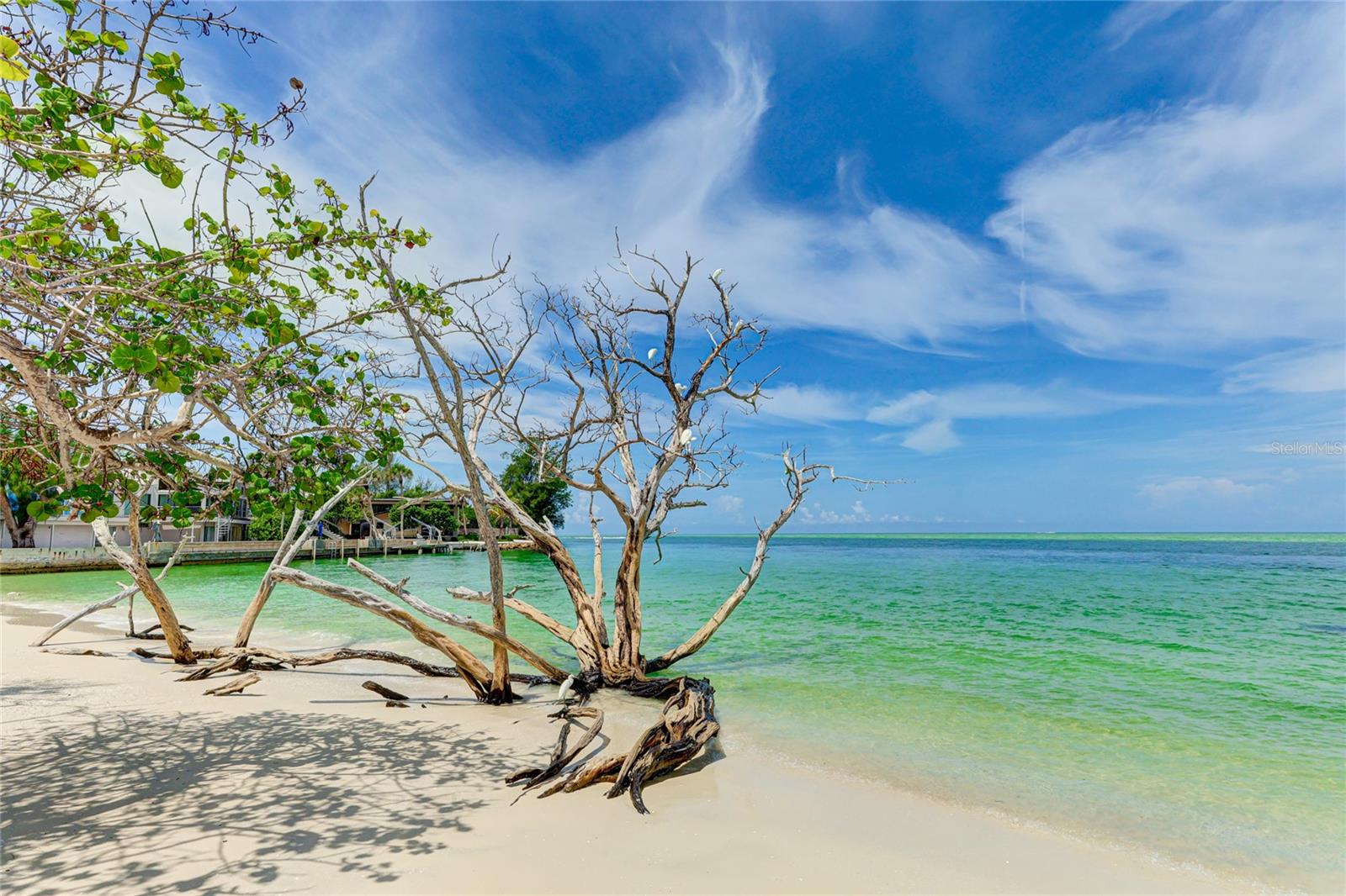 SANDY COVE - Residential Lease