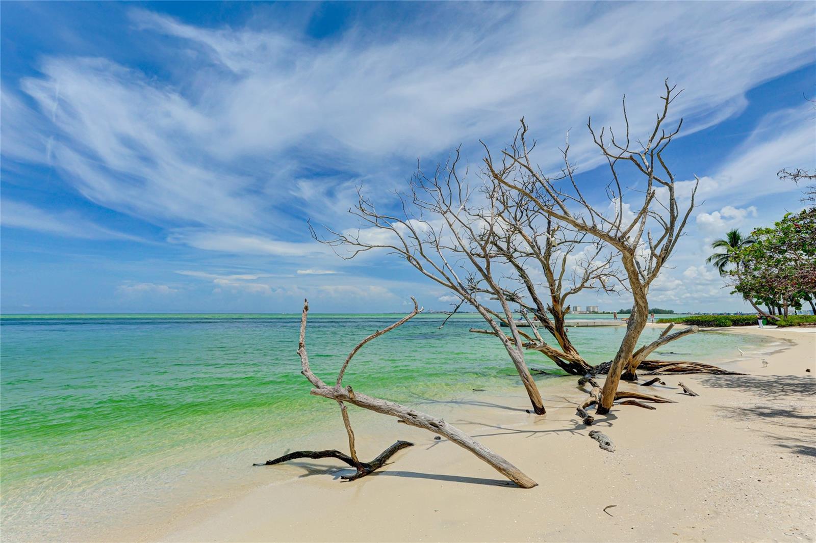 SANDY COVE - Residential Lease