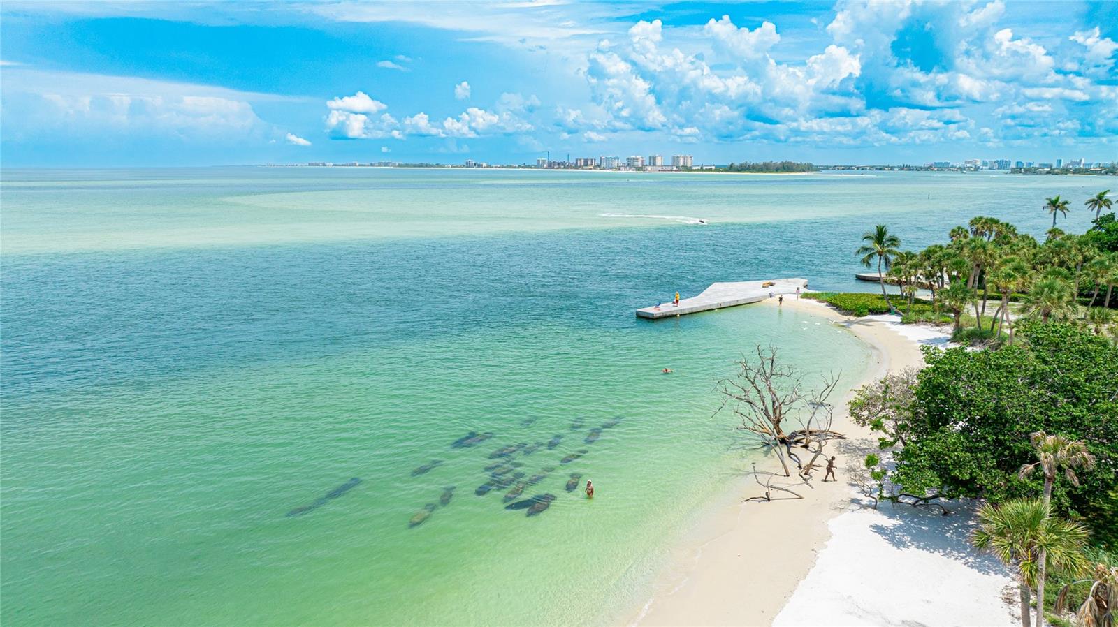 SANDY COVE - Residential Lease