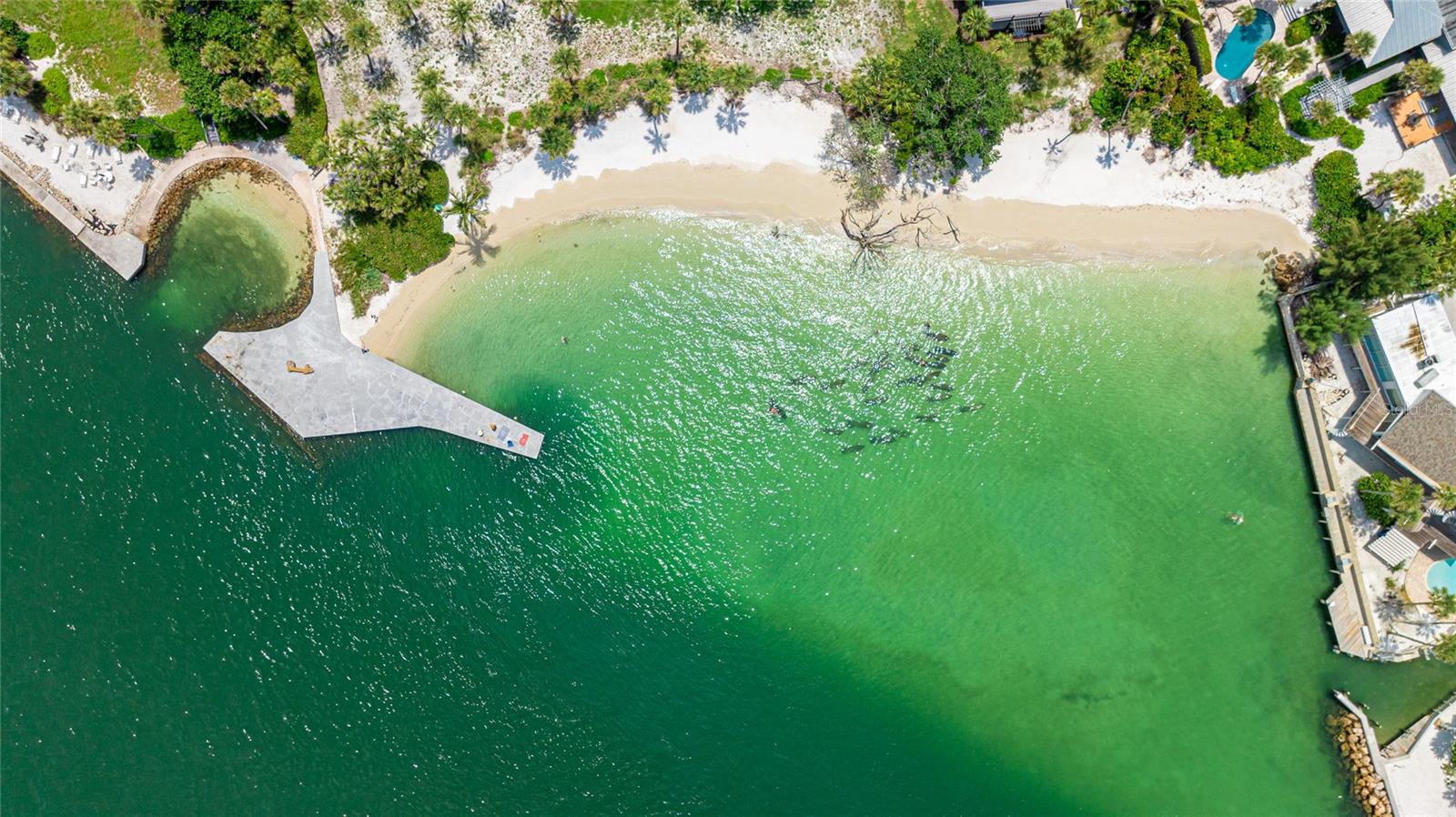 SANDY COVE - Residential Lease