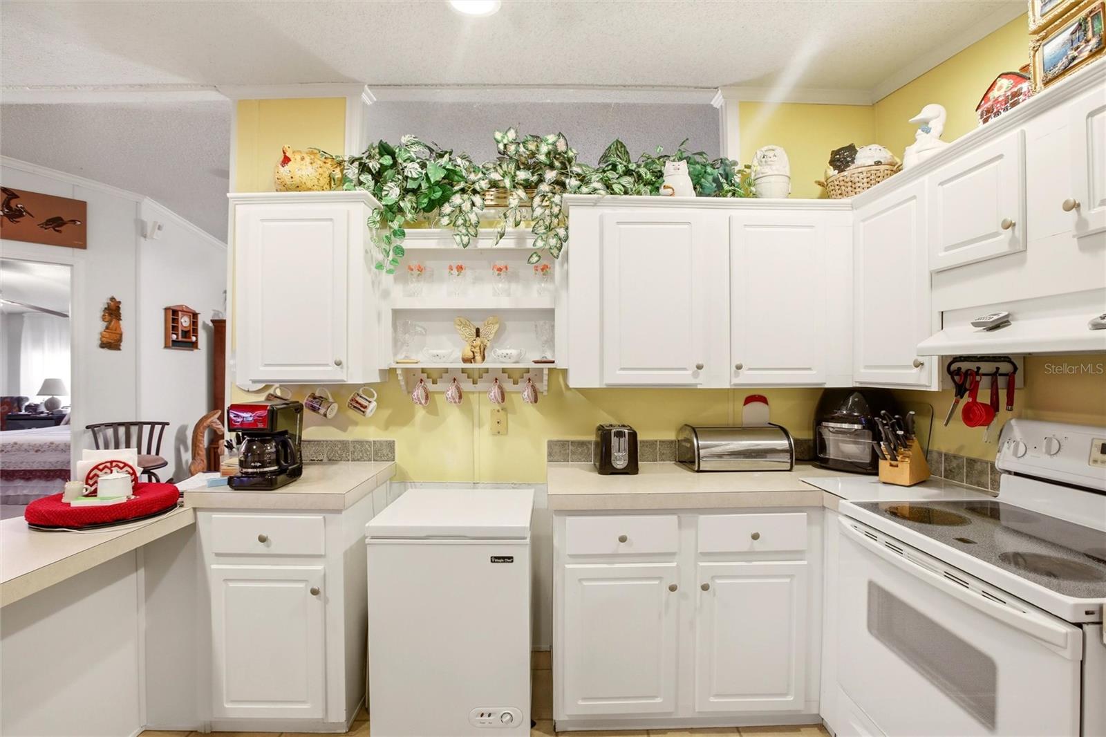 ALLIGATOR PARK COOP - Residential