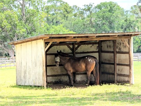 Tiny photo for 1750 SE 80th Street, Ocala, FL 34480 (MLS # OM728003)