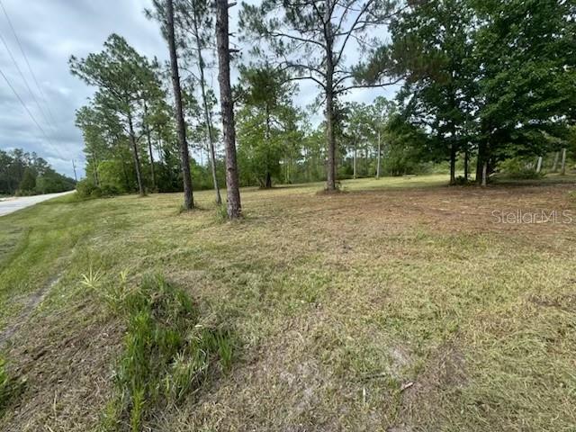 PERFECT LOCATION!!! for you to build your next project on 1.15 acre lot cornered and have all benefits of county living while being only minutes from the heart Spring Hill and Brooksville. Close to Week Wachee live mermaids, Crystal River, Homosassa, No HOA or CDD, No Flood zone.