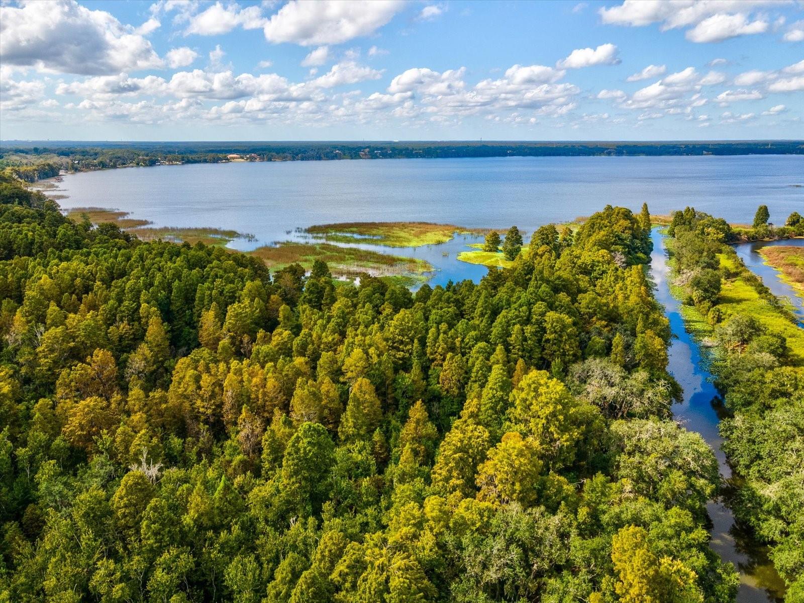 THONOTOSASSA WEST AREA - Residential