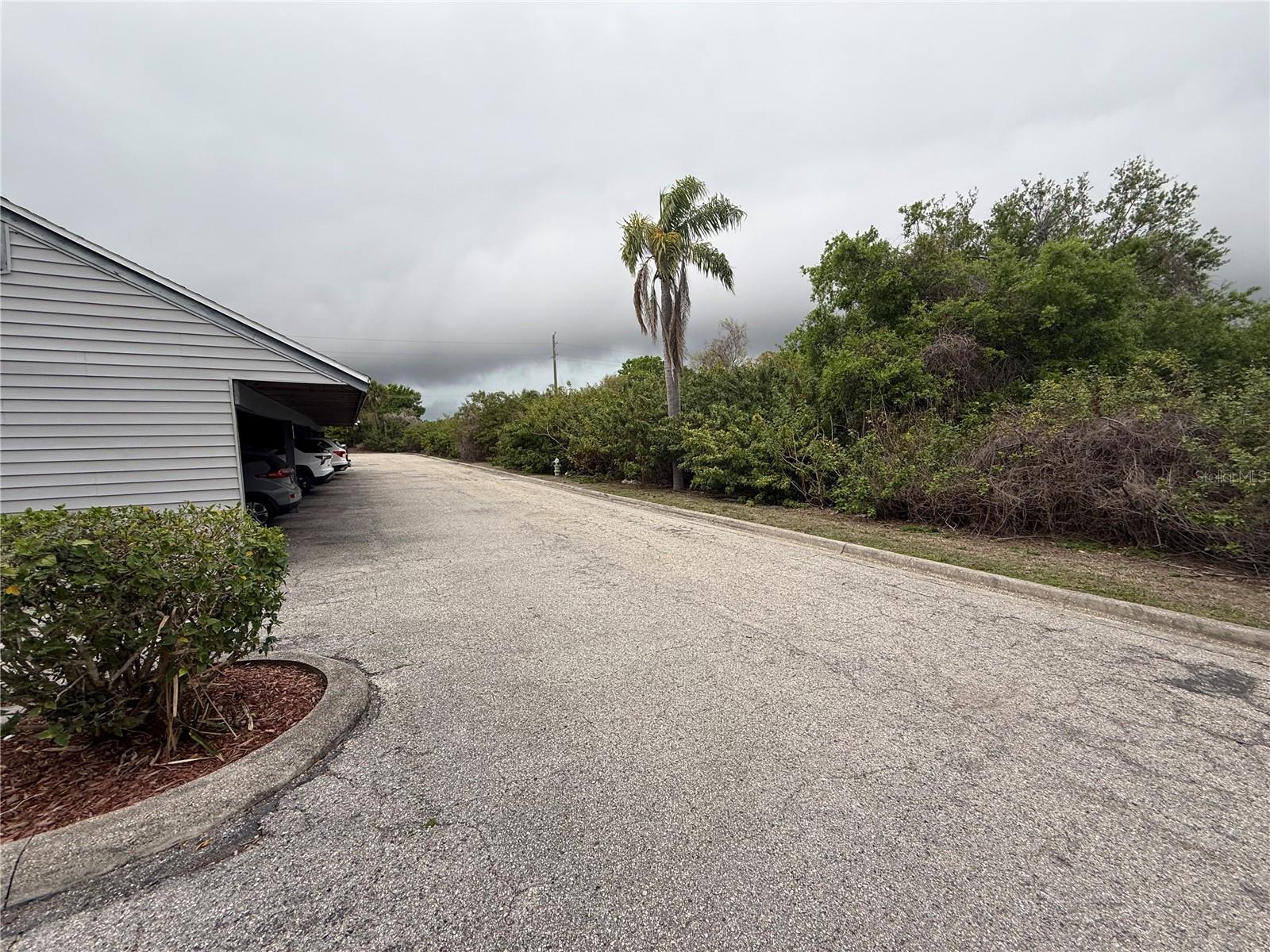 SAYBROOK MANOR - Residential