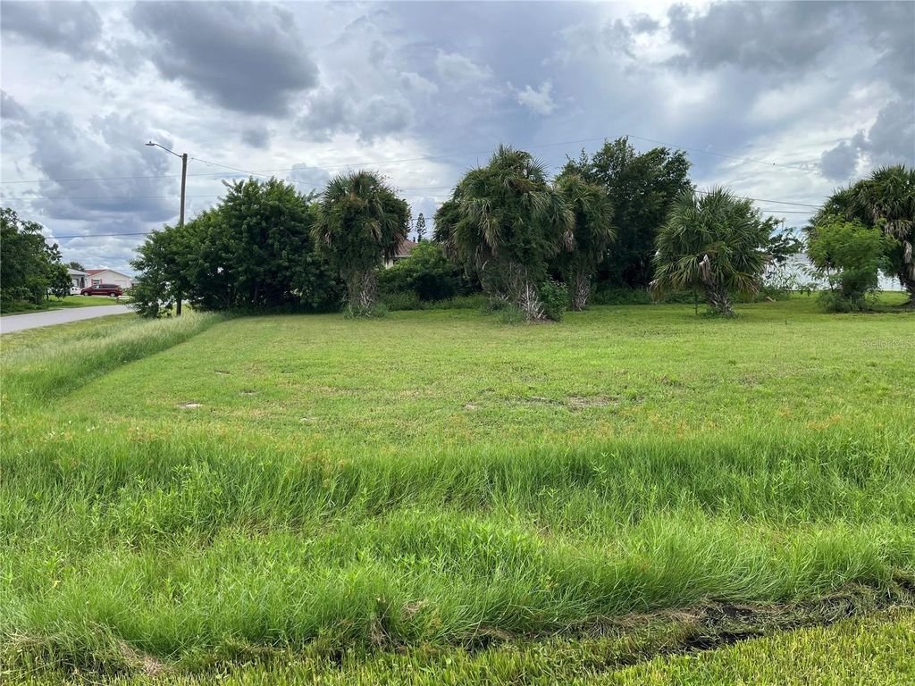 Photo of 401 Garfield Avenue NW, Port Charlotte, FL 33952 (MLS # C7515095)