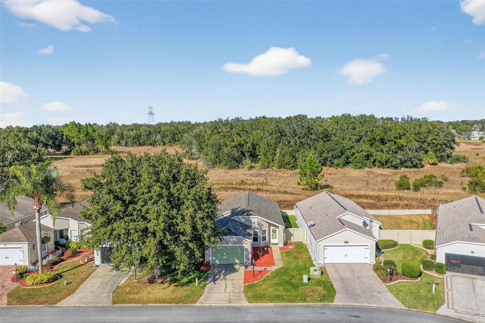 PLANTATION AT LEESBURG HERON RUN - Residential
