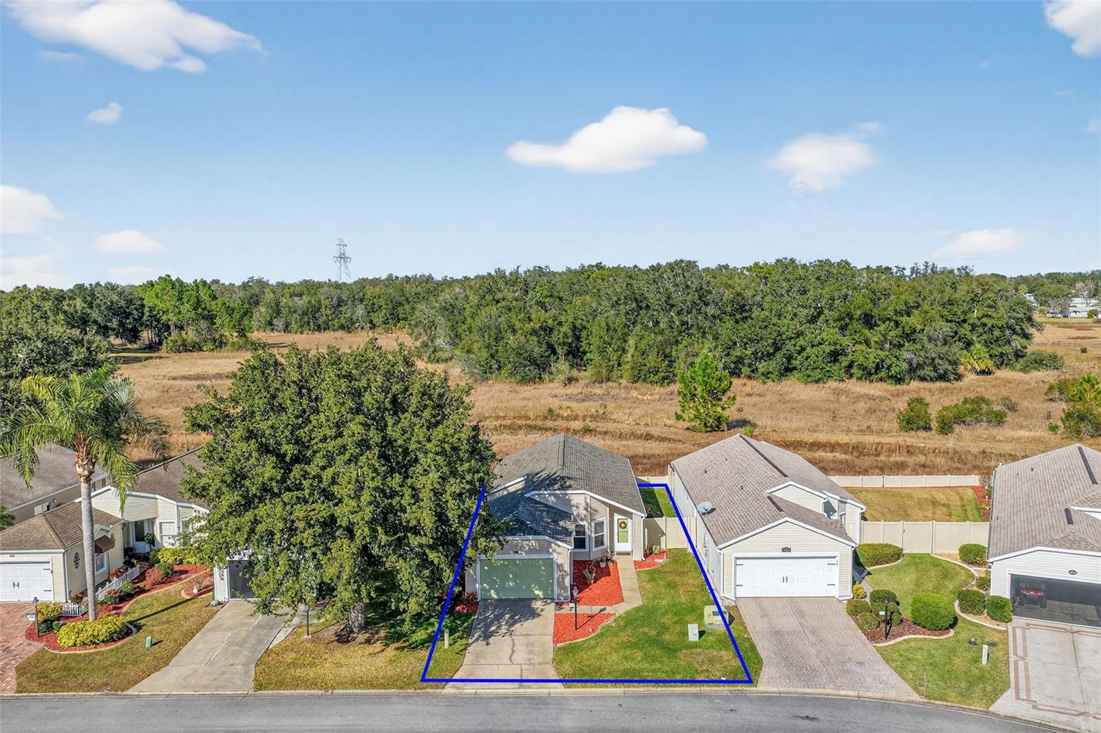 PLANTATION AT LEESBURG HERON RUN - Residential