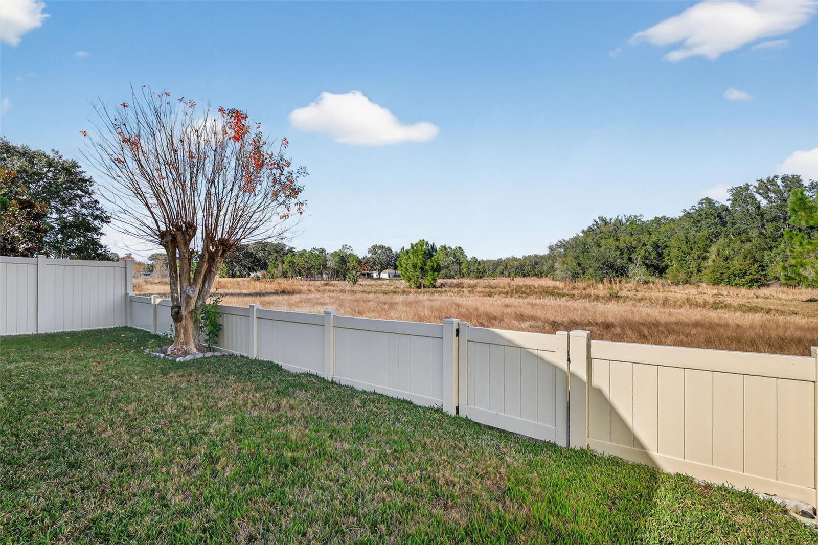 PLANTATION AT LEESBURG HERON RUN - Residential