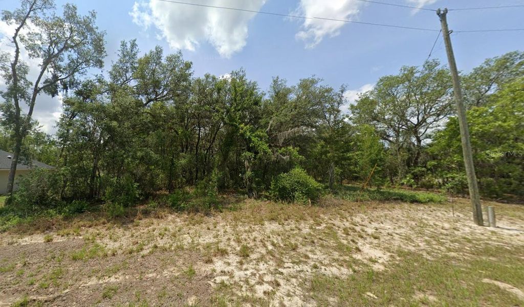 Photo of 2 SW 153rd Street, Ocala, FL 34473 (MLS # O6391737)