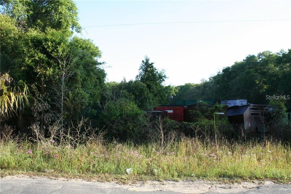 Photo of 4541 SE 95th Street, Ocala, FL 34480 (MLS # OM660695)