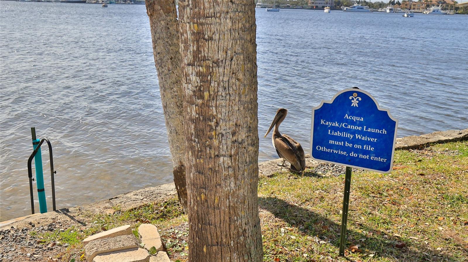 ACQUA AT DAYTONA BEACH CONDO - Residential
